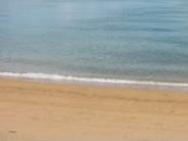 ���l�C������_�m�V�l�C������L�����v��