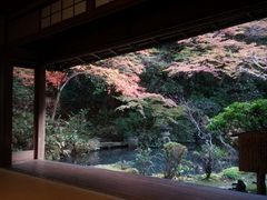 すぎさんの長楽寺（京都府京都市）の投稿写真1