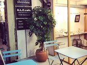 �܂��������A.L.C.cafe�i�G�[�G���V�[�J�t�F�j �������X�̓��e�ʐ^1