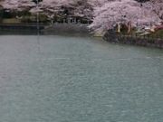 �A�N�Z���[���J�C����̌ː�_�������̓��e�ʐ^1