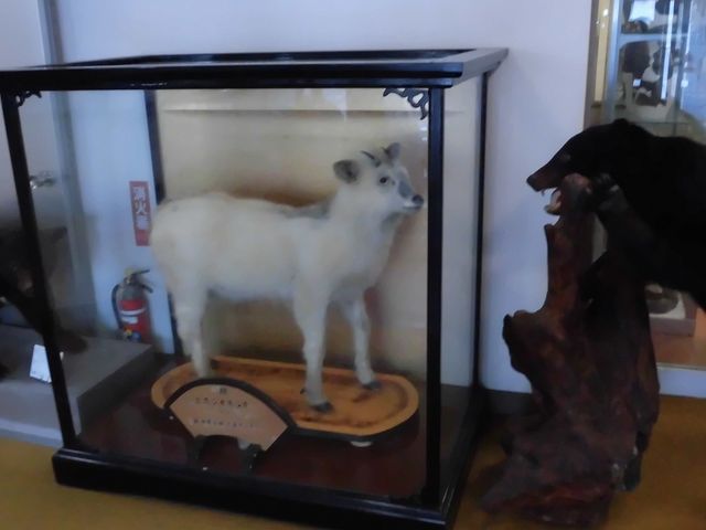 �B_��쒬���j����������