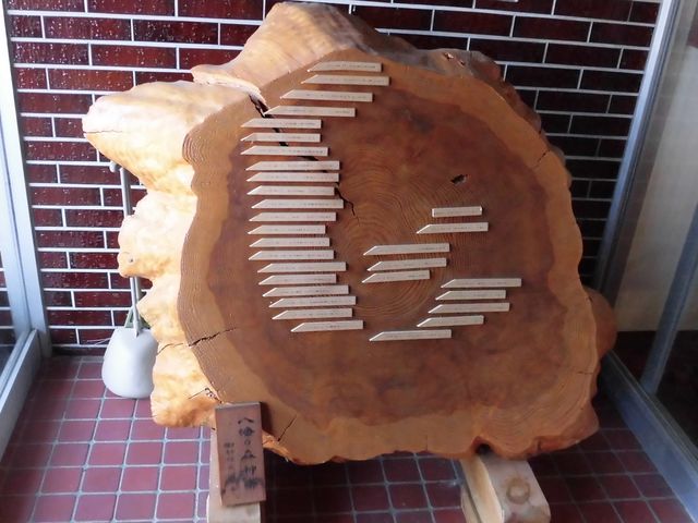 �C_��쒬���j����������