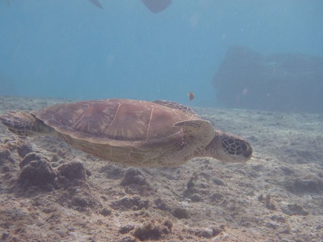 �o����J������_BIGHOLIDAY-TRIP