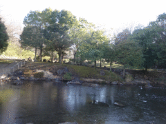 neỷTӂ邳ƌւ̓eʐ^1