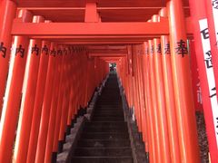 さりーさんの日枝神社（東京都千代田区）への投稿写真1