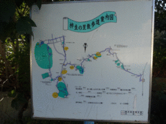 ney����̊`���̗��U�����ւ̓��e�ʐ^1