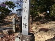 tyrelli̐l(wjՁj̓eʐ^1