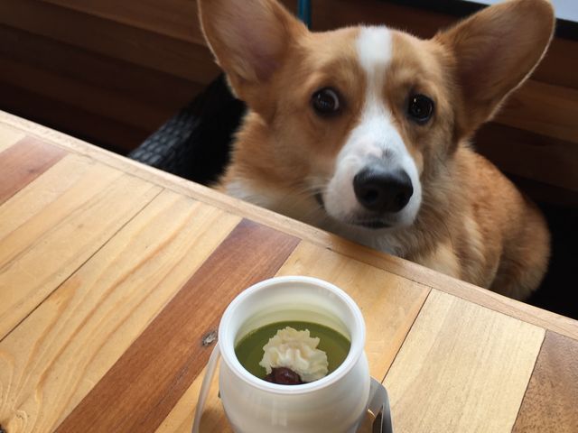 ���̐Ȃƃ��[�h�t�b�N����_�����̉w