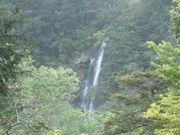 takâ񂾂񍌓W]̓eʐ^1