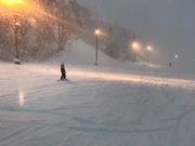 oideyasu̓򒆗Xm[][g̓eʐ^1