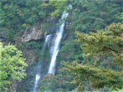 satoshî񂾂񍌓W]̓eʐ^1