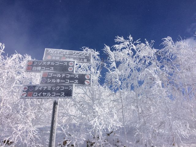 ���V�C�������ƃS���h���R���ӂ�͂���Ȏ��X�̐��E�ɂȂ�܂��B�T���T���p�E�_�[�X�m�[�I�ō��I_�J���C�X�L�[�����N�X