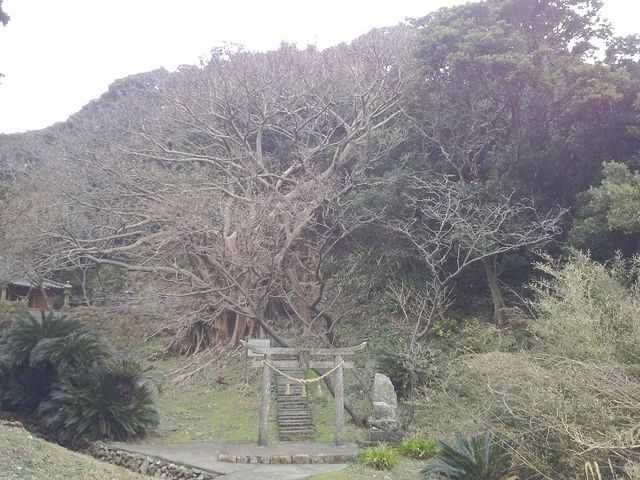 �S�i_�ʔV�Y�̃A�R�E