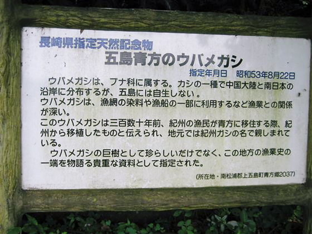 JOĚܓ̃EoKV̓eʐ^1