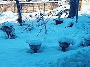 ������[����̏����^�������̓��e�ʐ^1