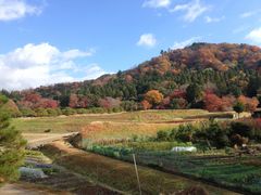 hiromȉCw@{ւ̓eʐ^1