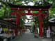 u-minさんの伊佐須美神社の投稿写真1