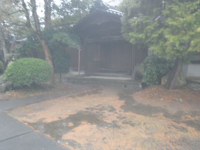 �T�r�L����̑������̓��e�ʐ^2