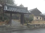 �T�r�L����̑������̓��e�ʐ^1