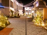 HirotanMARINE & WALK YOKOHAMAi} Ah EH[N Rn}j̓eʐ^1