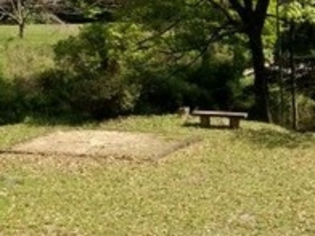 竜門キャンプ場_竜門キャンプ場