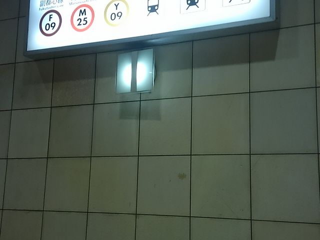 �r�܉w_�������g���L�y���� �r�܉w