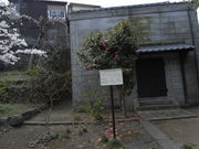 �Ђ��͂񂳂�̍����H������̓��e�ʐ^1