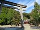 キヨさんの豊玉姫神社（鹿児島県南九州市）の投稿写真1