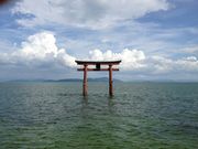 Ђ͂񂳂̔i΂̓eʐ^1