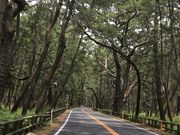 poporon̓̕lC̓eʐ^1