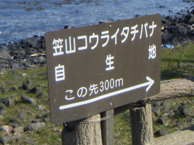 REC^`oin̐300m_}RREC^`oin