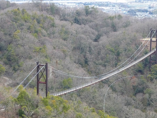 {̐XEقnE݋ẼuR_{̐XmǁEقEނ낢EȂ邩EEʂÊ݂݁E͂Eق育nn