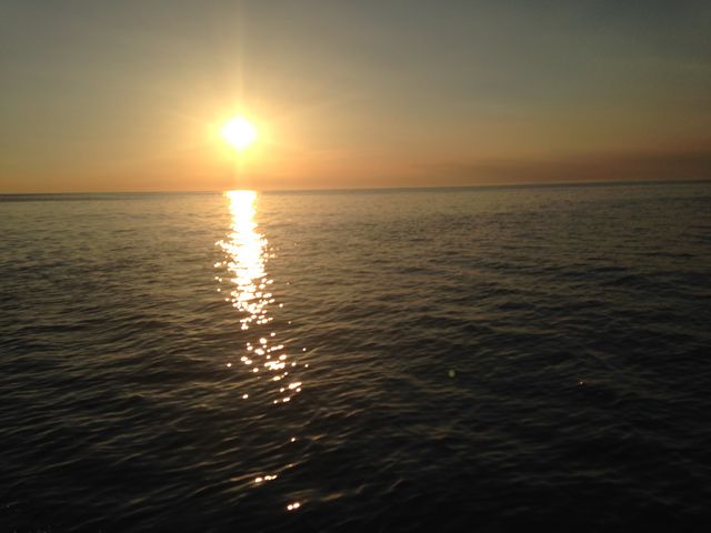 �D����̗[��_�P���i�̌��ό��j