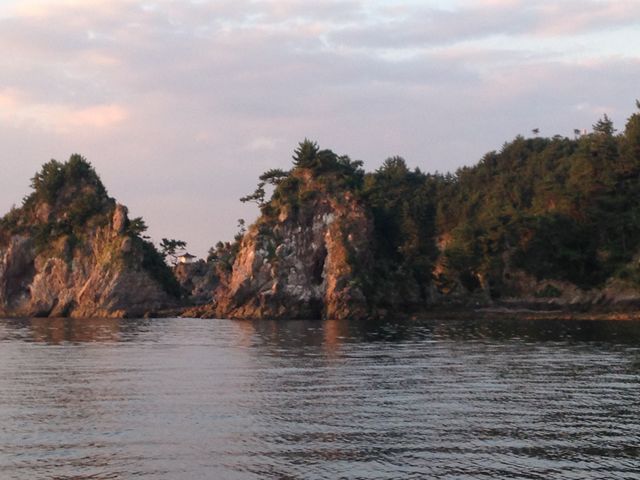 �D����̊ω���_�P���i�̌��ό��j