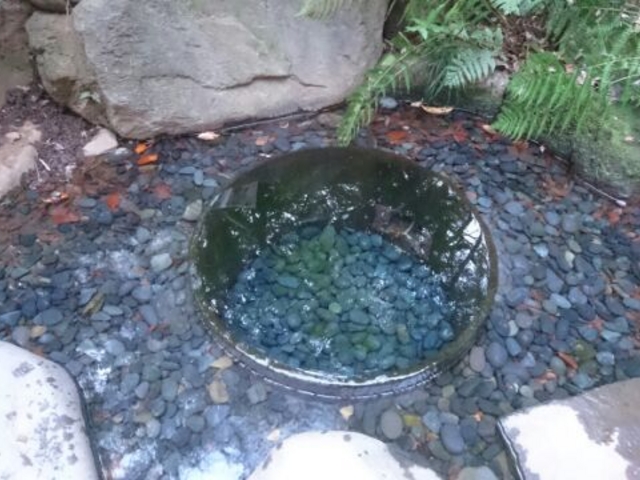 ������_�����_�{����