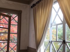 Leaf̏dv@O}zeւ̓eʐ^1