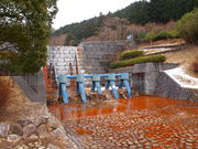 ˂񂳂̍Ԃ݂׌̓eʐ^1