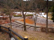 ˂񂳂̍Ԃ݂׌̓eʐ^4