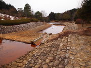 ˂񂳂̍Ԃ݂׌̓eʐ^5