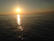 chiko̕Pǐόj̓eʐ^2