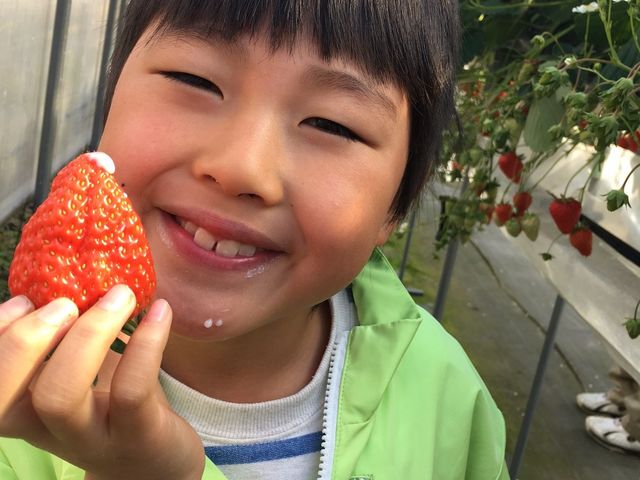 ������_��̌���