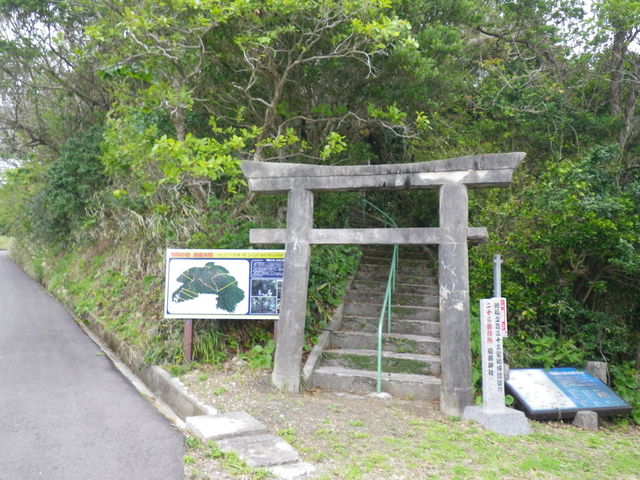 ���Y����̖���̐X�̓��e�ʐ^1