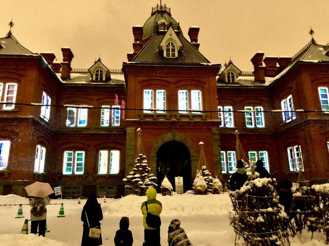 �����r���Ɏʂ��o���ꂽ�f��_�k�C�������{����(�Ԃ�񂪒���)