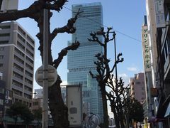 䂫Ȃ̃nJX300ւ̓eʐ^1