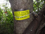 ���Y����̖���̐X�̓��e�ʐ^2