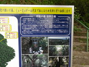 ���Y����̖���̐X�̓��e�ʐ^3