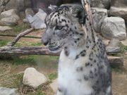 Thommy̐_ˎsq̓eʐ^2