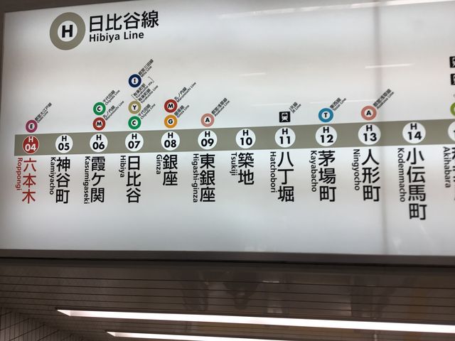 �Z�{��_�������g������J���Z�{�؉w