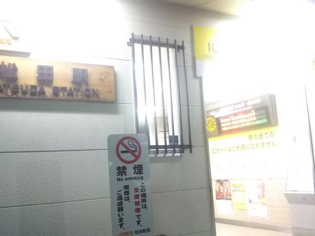 cJ擙X͂̏Zl̓̓eʐ^1