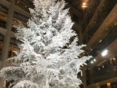 ~[񂳂KITTEۂ̓ւ̓eʐ^1